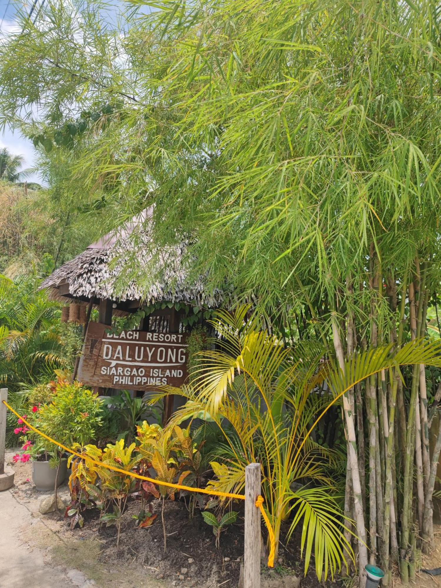 Daluyong Beach Resort General Luna  Exterior foto